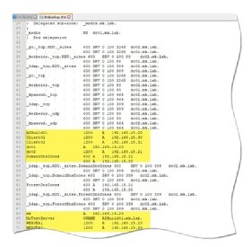 DNS backup details