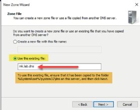 Restore the DNS backup file