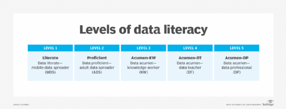 Levels of data literacy chart