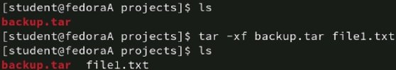 Extract single file output screenshot.