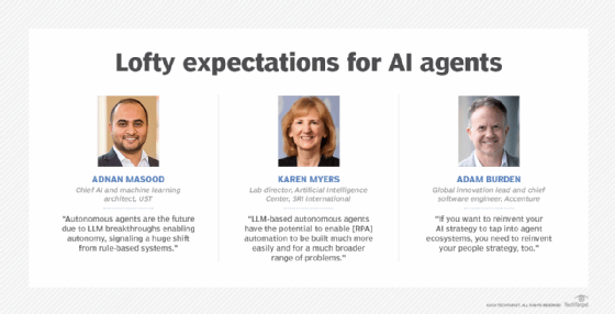 A panel of three experts with quotes on their expectations for AI agents.