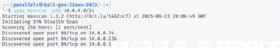 Screenshot of a Masscan scan of a single port