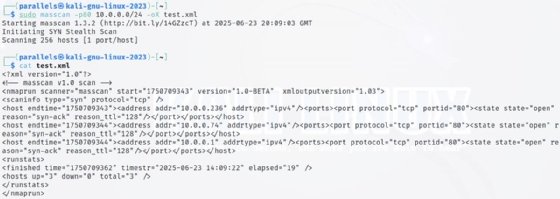 Screenshot of a Masscan scan output.