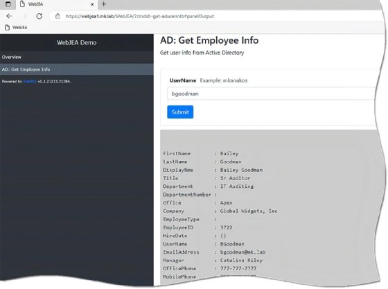 WebJEA web input field