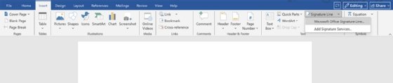Microsoft Office Signature Line screenshot