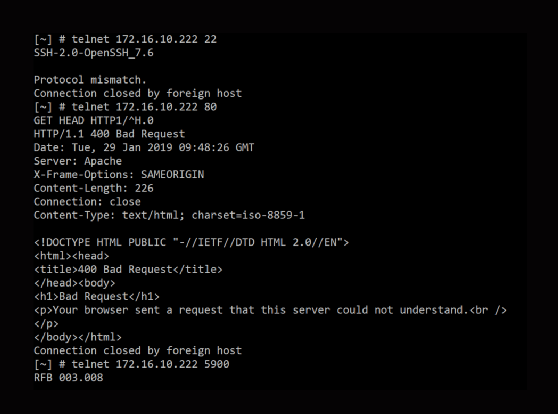 telnet client