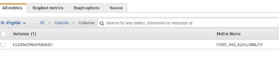 CloudWatch custom metric available