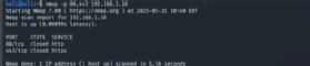 Screenshot of an Nmap scan of multiple ports.