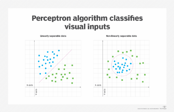 perceptron algorithm classifies visual inputs