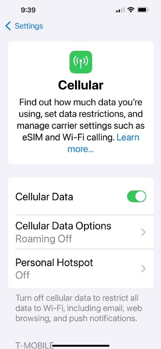 The Cellular tab in iPhone settings.