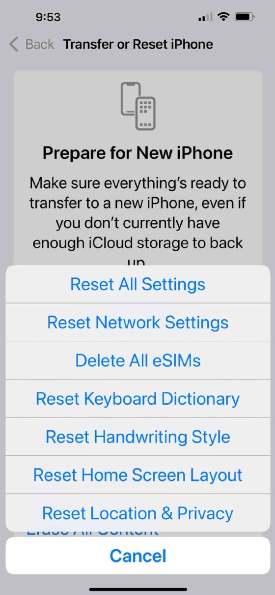 The Transfer or Reset iPhone tab in iPhone settings.