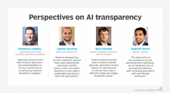 perspectives on AI transparency