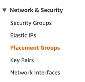 Network and security drop-down menu with Placement Groups selected