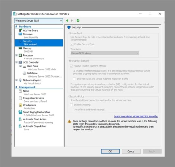 virtual TPM support
