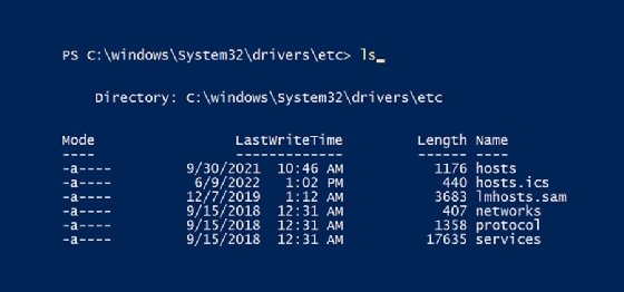 The screenshot displays the results of running the ls command in PowerShell on Windows.