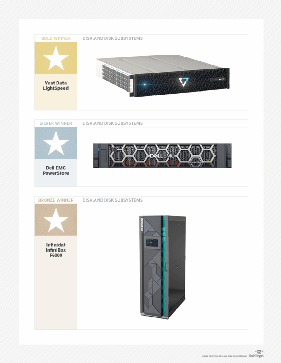 disk and disk subsystems 2020 POY