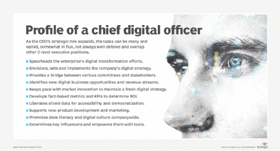 List of tasks associated with the chief digital officer position.