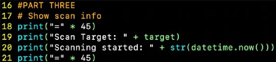 Screenshot of the Python port scanner code displaying port scan information