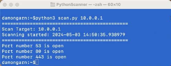 Screenshot of the results of a Python port scan