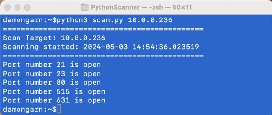 Screenshot of the results of a Python port scan