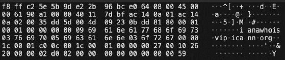 Screenshot showing payload content in cleartext