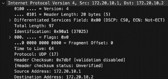 Screenshot displaying Wireshark capture of header information