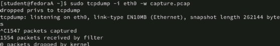 Screenshot of writing the capture to a file