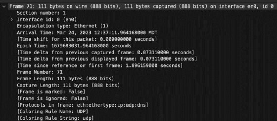 Screenshot displaying frame information