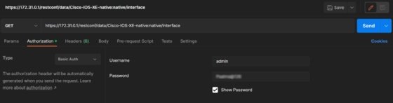 Screenshot showing interface information in Cisco DevNet sandbox