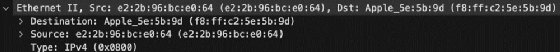 Screenshot displaying Ethernet information, such as destination and source MAC addresses