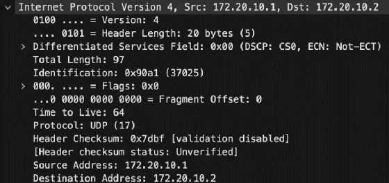 Screenshot showing IP information, including IP addresses