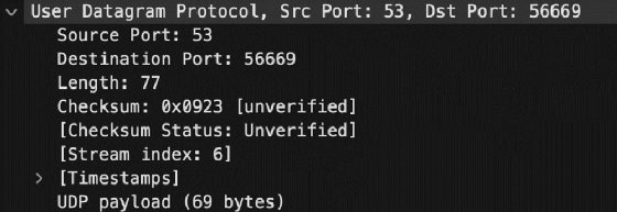 Screenshot displaying UDP information, such as destination port and payload