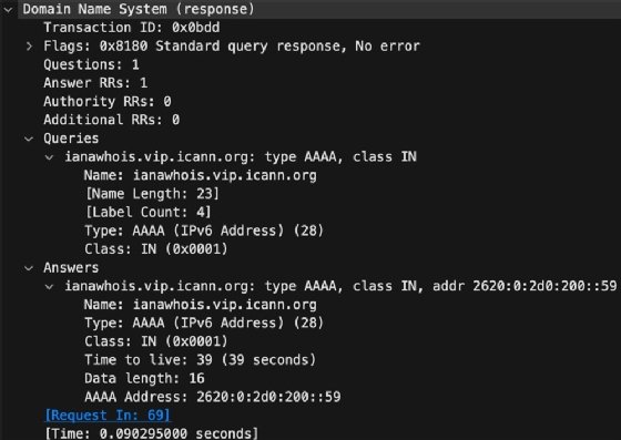 Screenshot showing DNS name resolution information, such as type and class