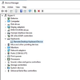 Device Manager in a remote session showing a redirected keyboard device entry.