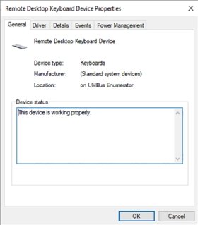 Keyboard device properties window showing device status in a remote session.