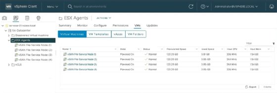 Screenshot of vSAN file service nodes in vSphere 7 interface