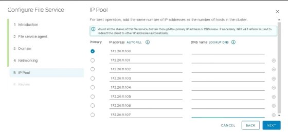 Screenshot of vSAN file service IP pool configuration interface