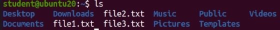 Screenshot of code confirming three text files are on the remote system.