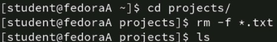 Screenshot of code deleting three text files.