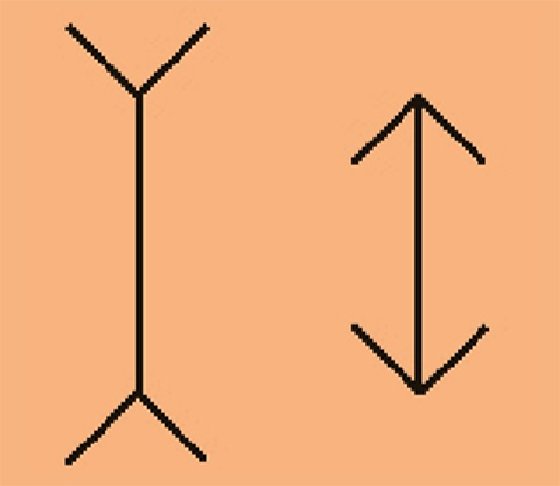These lines are actually the same length (Figure 1.4)