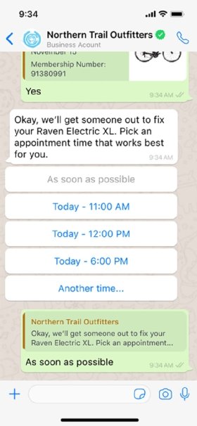 Screenshot of Salesforce new Appointment Assistant on SMS.