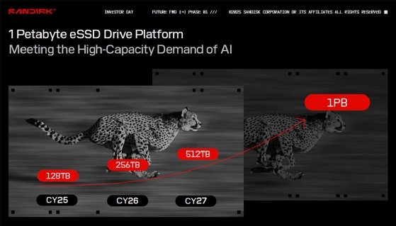 Screenshot of a SanDisk presentation slide showing the company's evolution from 128 TB SSDs to 1 PB SSDs.