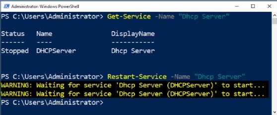 Screenshot of PowerShell status check for network services on Windows