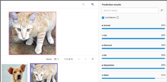 Screenshot showing prediction results in SageMaker Canvas