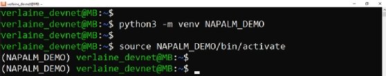 Screenshot with code snippet showing the creation of a Python virtual environment