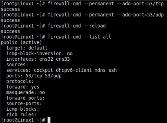 Open Ports 53/TCP and 53/UDP.