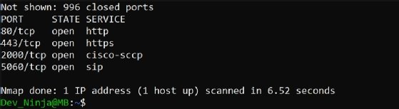 Screenshot showing results of a TCP SYN scan