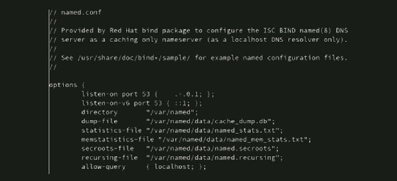 Screenshot example of /etc/named.conf file