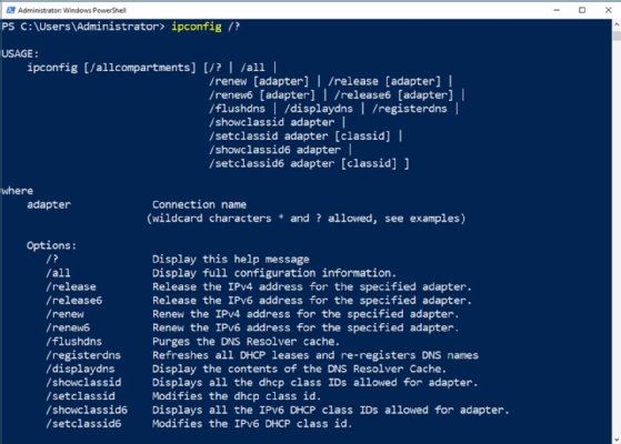 Screenshot of the help page for Windows ipconfig command