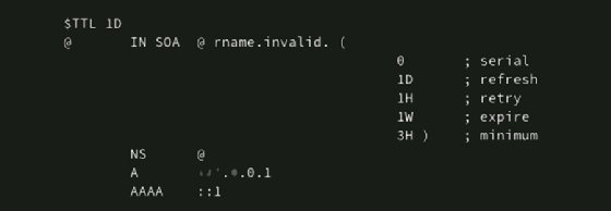 Screenshot of named.localhost file
